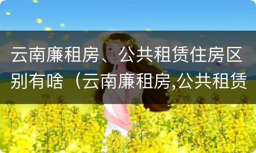 云南廉租房、公共租赁住房区别有啥（云南廉租房,公共租赁住房区别有啥不一样）