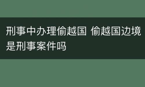 刑事中办理偷越国 偷越国边境是刑事案件吗