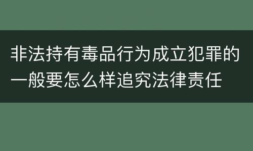 非法持有毒品行为成立犯罪的一般要怎么样追究法律责任