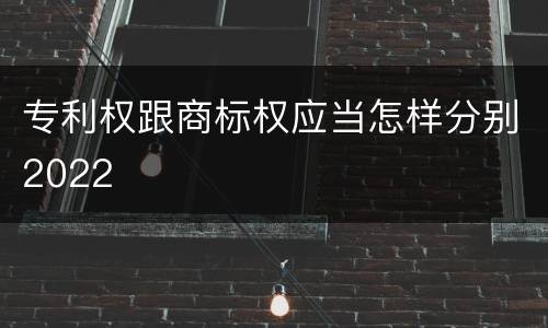 专利权跟商标权应当怎样分别2022