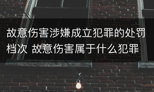 故意伤害涉嫌成立犯罪的处罚档次 故意伤害属于什么犯罪