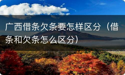 广西借条欠条要怎样区分（借条和欠条怎么区分）