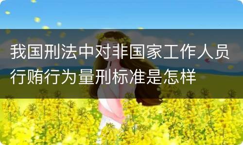 我国刑法中对非国家工作人员行贿行为量刑标准是怎样