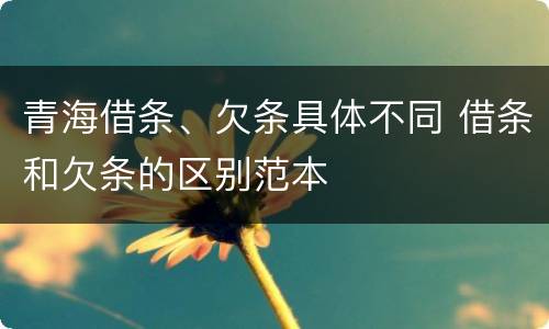 青海借条、欠条具体不同 借条和欠条的区别范本