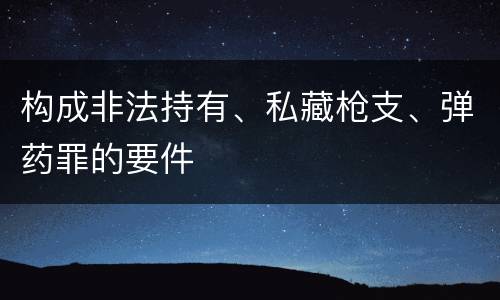 构成非法持有、私藏枪支、弹药罪的要件
