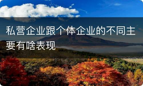 私营企业跟个体企业的不同主要有啥表现