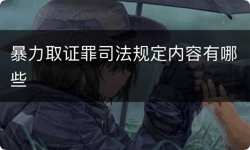 暴力取证罪司法规定内容有哪些