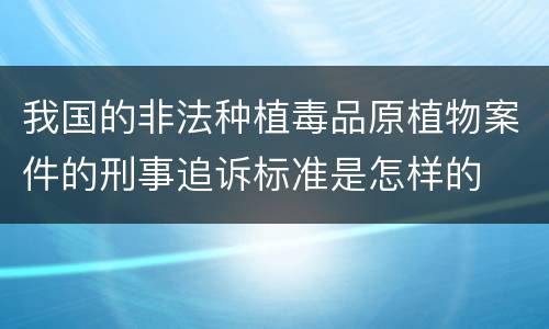 我国的非法种植毒品原植物案件的刑事追诉标准是怎样的