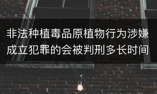 非法种植毒品原植物行为涉嫌成立犯罪的会被判刑多长时间