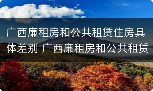 广西廉租房和公共租赁住房具体差别 广西廉租房和公共租赁住房具体差别在哪