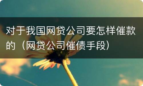 对于我国网贷公司要怎样催款的（网贷公司催债手段）