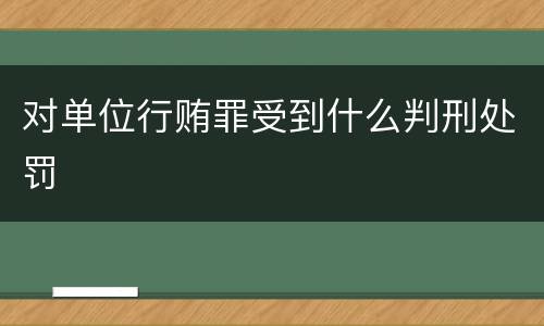 对单位行贿罪受到什么判刑处罚