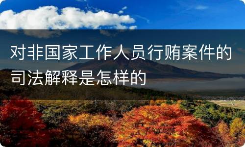 对非国家工作人员行贿案件的司法解释是怎样的