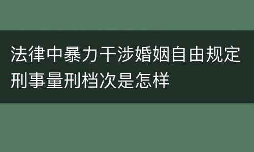 法律中暴力干涉婚姻自由规定刑事量刑档次是怎样