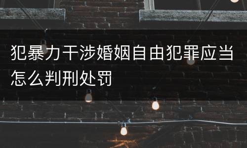 犯暴力干涉婚姻自由犯罪应当怎么判刑处罚