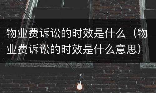 物业费诉讼的时效是什么（物业费诉讼的时效是什么意思）