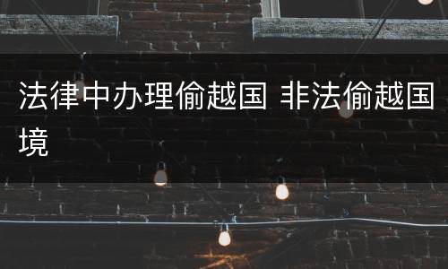 法律中办理偷越国 非法偷越国境