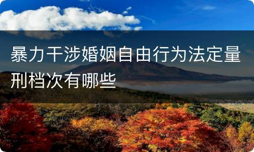 暴力干涉婚姻自由行为法定量刑档次有哪些