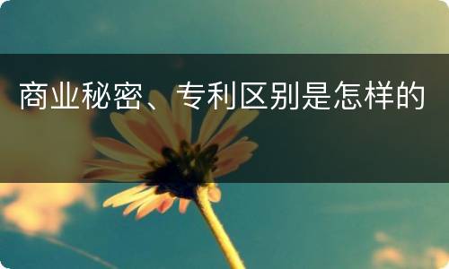 商业秘密、专利区别是怎样的