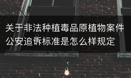 关于非法种植毒品原植物案件公安追诉标准是怎么样规定