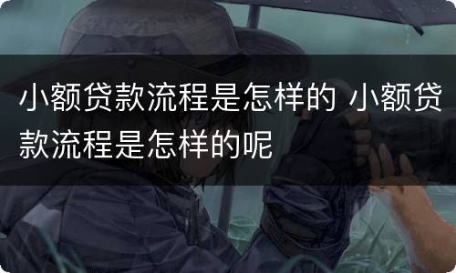 小额贷款流程是怎样的 小额贷款流程是怎样的呢