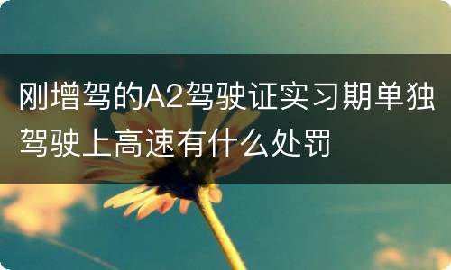 刚增驾的A2驾驶证实习期单独驾驶上高速有什么处罚
