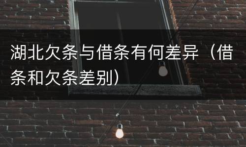 湖北欠条与借条有何差异（借条和欠条差别）