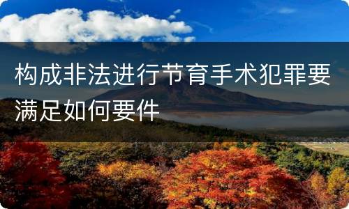 构成非法进行节育手术犯罪要满足如何要件