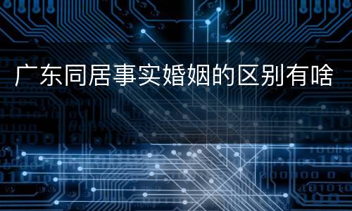 广东同居事实婚姻的区别有啥