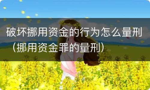 破坏挪用资金的行为怎么量刑（挪用资金罪的量刑）