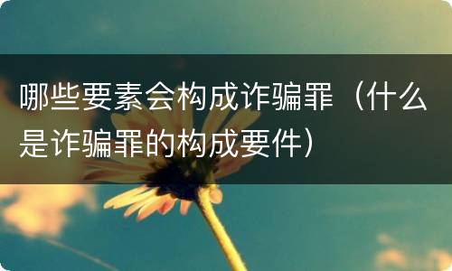 哪些要素会构成诈骗罪（什么是诈骗罪的构成要件）