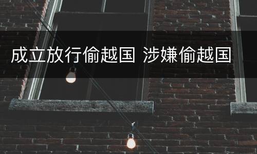 成立放行偷越国 涉嫌偷越国