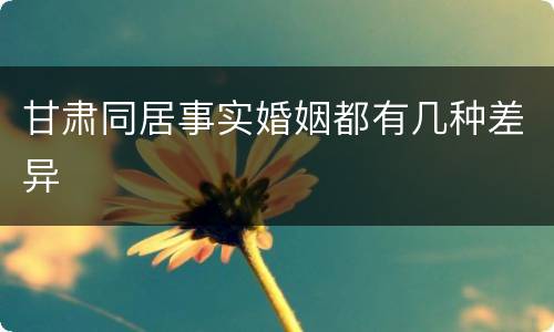 甘肃同居事实婚姻都有几种差异