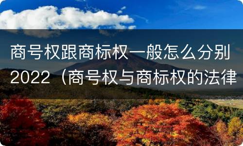 商号权跟商标权一般怎么分别2022（商号权与商标权的法律冲突与解决）