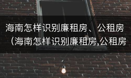 海南怎样识别廉租房、公租房（海南怎样识别廉租房,公租房呢）