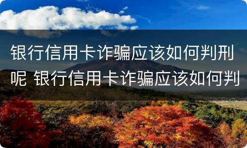 银行信用卡诈骗应该如何判刑呢 银行信用卡诈骗应该如何判刑呢知乎