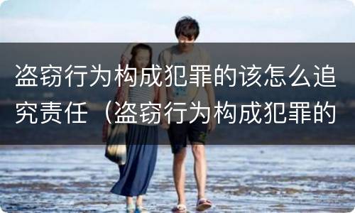 盗窃行为构成犯罪的该怎么追究责任（盗窃行为构成犯罪的该怎么追究责任呢）
