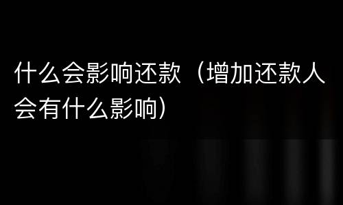 什么会影响还款（增加还款人会有什么影响）