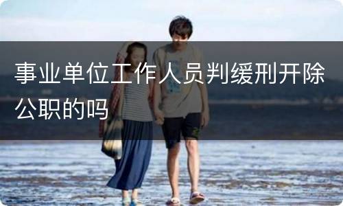 事业单位工作人员判缓刑开除公职的吗