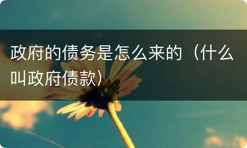 政府的债务是怎么来的（什么叫政府债款）