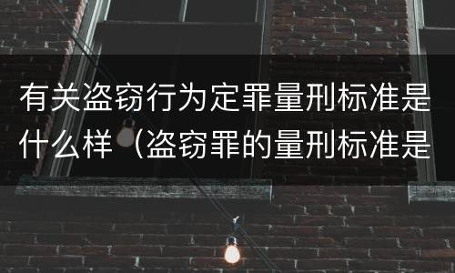 有关盗窃行为定罪量刑标准是什么样（盗窃罪的量刑标准是什么）