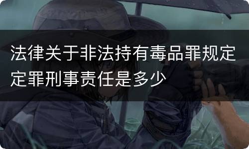 法律关于非法持有毒品罪规定定罪刑事责任是多少