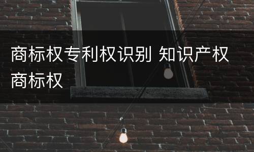 商标权专利权识别 知识产权 商标权
