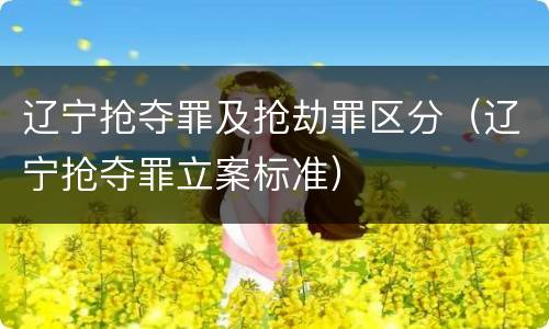 辽宁抢夺罪及抢劫罪区分（辽宁抢夺罪立案标准）