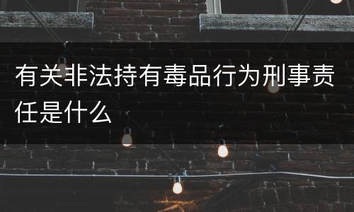 有关非法持有毒品行为刑事责任是什么