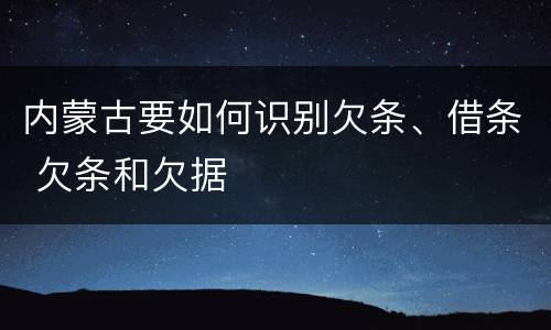 内蒙古要如何识别欠条、借条 欠条和欠据