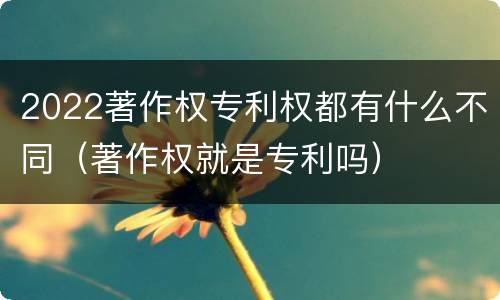 2022著作权专利权都有什么不同（著作权就是专利吗）