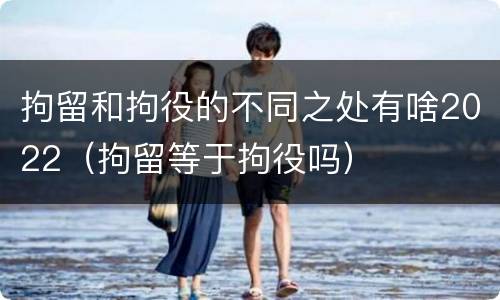 拘留和拘役的不同之处有啥2022（拘留等于拘役吗）