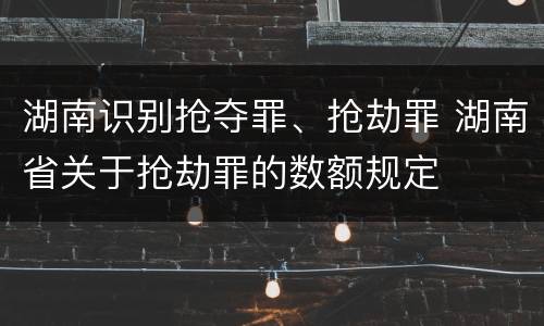 湖南识别抢夺罪、抢劫罪 湖南省关于抢劫罪的数额规定