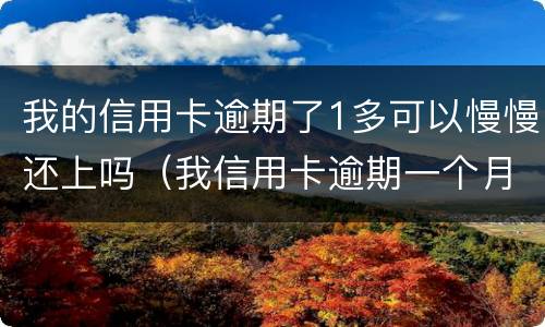 我的信用卡逾期了1多可以慢慢还上吗（我信用卡逾期一个月,还了之后还能用吗）